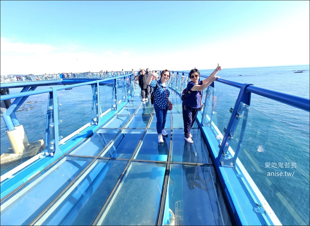 釜山孝親行程規劃 | 釜山國際煙火節、紅葉、美食孝親包車之旅 (圖文、資訊多)