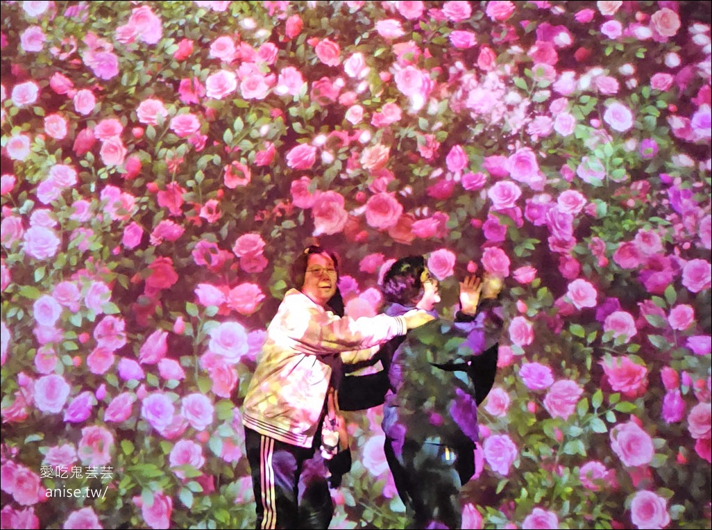 釜山孝親行程規劃 | 釜山國際煙火節、紅葉、美食孝親包車之旅 (圖文、資訊多)