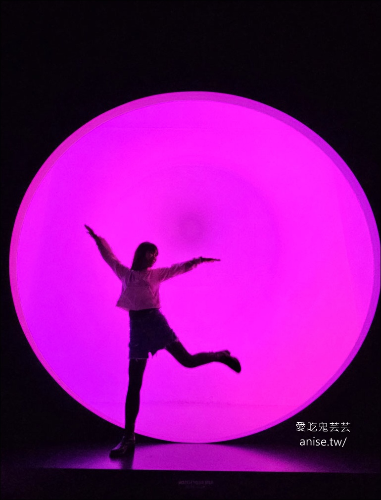 釜山孝親行程規劃 | 釜山國際煙火節、紅葉、美食孝親包車之旅 (圖文、資訊多)