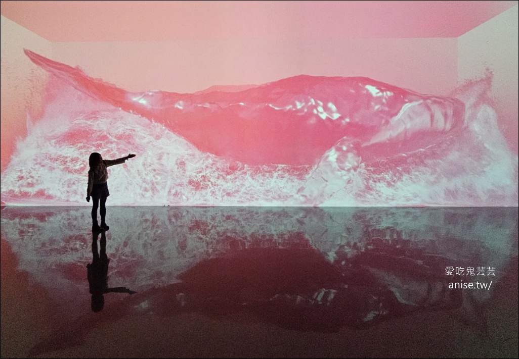 釜山孝親行程規劃 | 釜山國際煙火節、紅葉、美食孝親包車之旅 (圖文、資訊多)