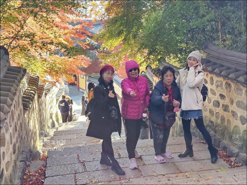 釜山孝親行程規劃 | 釜山國際煙火節、紅葉、美食孝親包車之旅 (圖文、資訊多)