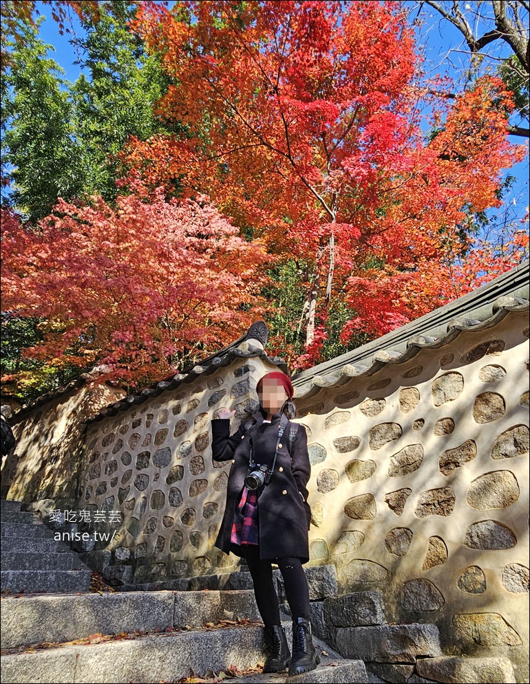 釜山孝親行程規劃 | 釜山國際煙火節、紅葉、美食孝親包車之旅 (圖文、資訊多)