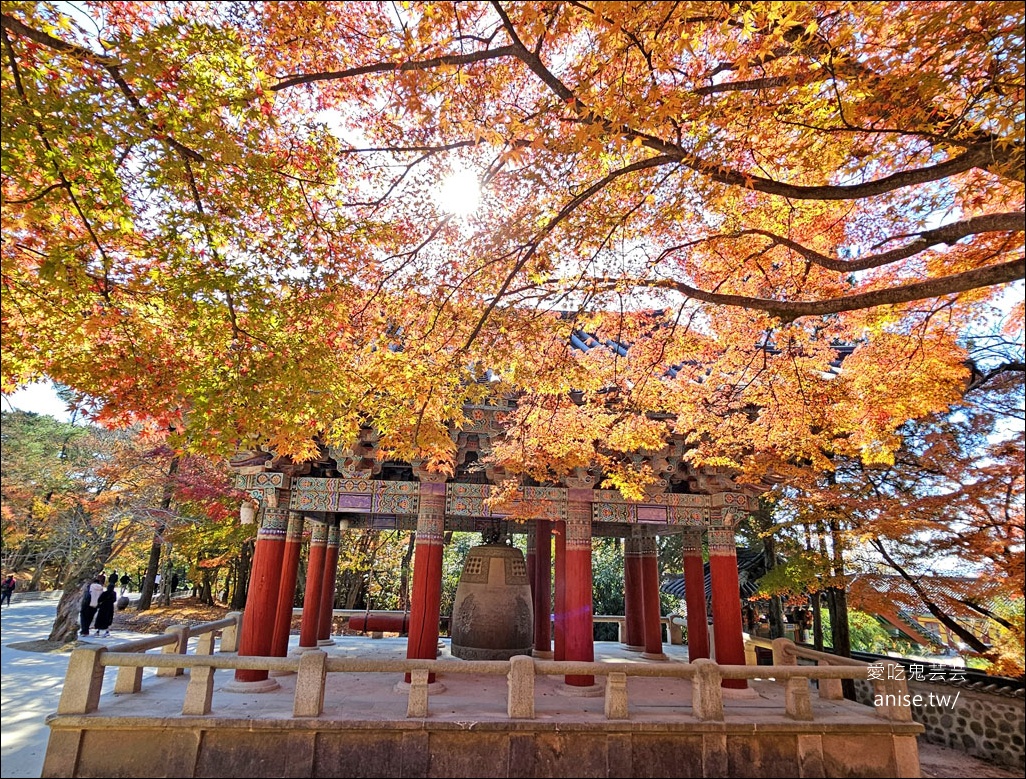 釜山孝親行程規劃 | 釜山國際煙火節、紅葉、美食孝親包車之旅 (圖文、資訊多)
