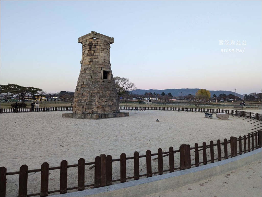 釜山孝親行程規劃 | 釜山國際煙火節、紅葉、美食孝親包車之旅 (圖文、資訊多)