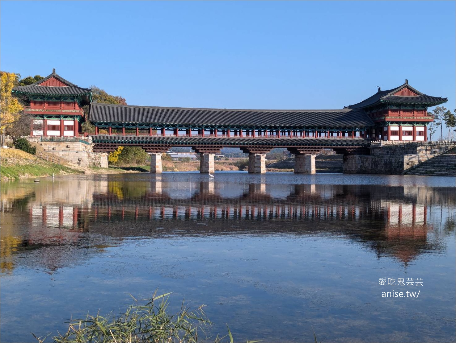 釜山孝親行程規劃 | 釜山國際煙火節、紅葉、美食孝親包車之旅 (圖文、資訊多)