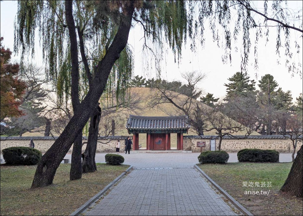 釜山孝親行程規劃 | 釜山國際煙火節、紅葉、美食孝親包車之旅 (圖文、資訊多)