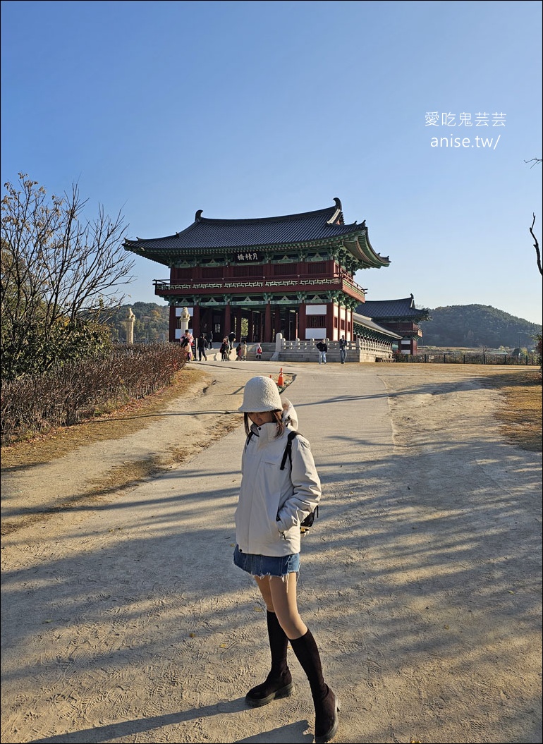 釜山孝親行程規劃 | 釜山國際煙火節、紅葉、美食孝親包車之旅 (圖文、資訊多)