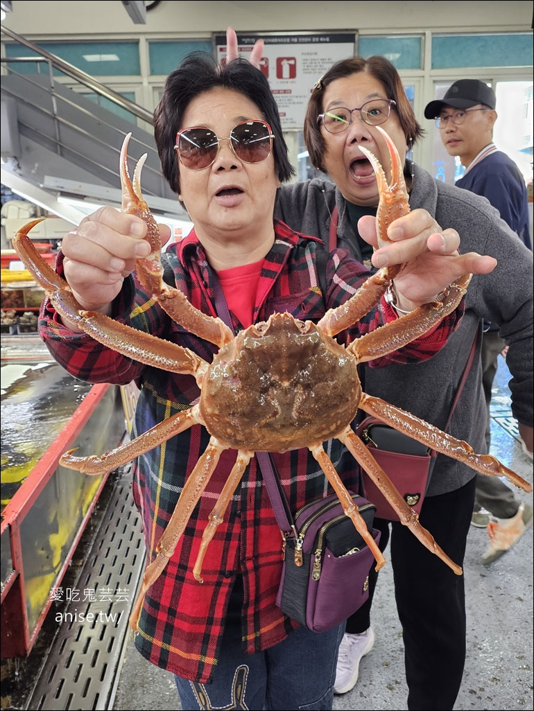 釜山孝親行程規劃 | 釜山國際煙火節、紅葉、美食孝親包車之旅 (圖文、資訊多)