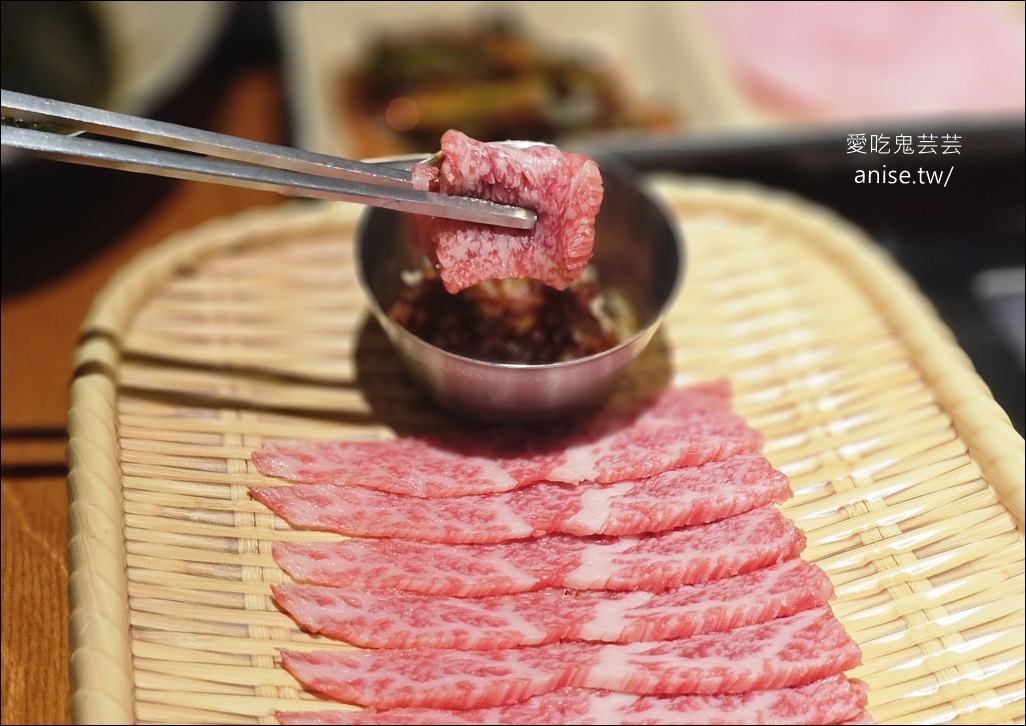 釜山孝親行程規劃 | 釜山國際煙火節、紅葉、美食孝親包車之旅 (圖文、資訊多)