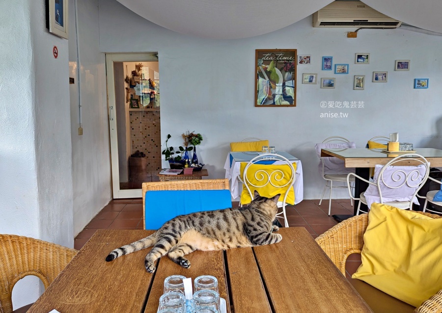 七號公路咖啡館，愛貓者的天堂，桃園復興鄉北橫公路美食(姊姊食記)