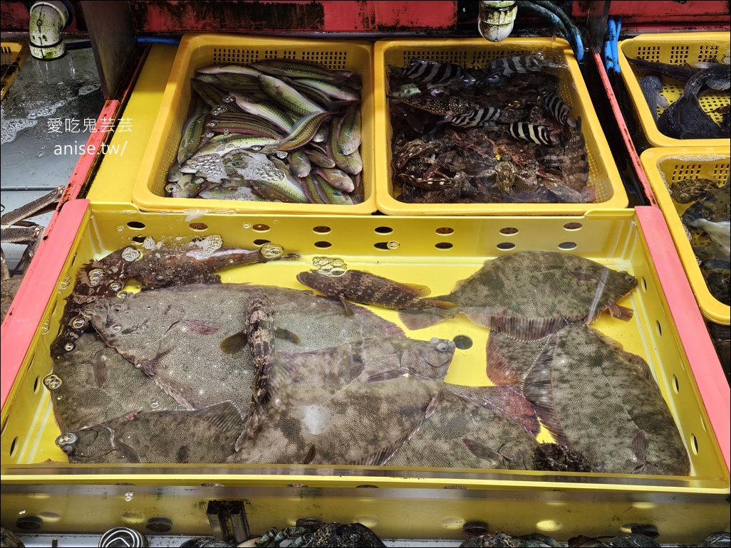 釜山吃帝王蟹、鮑魚！札嘎其市場生猛海鮮推薦