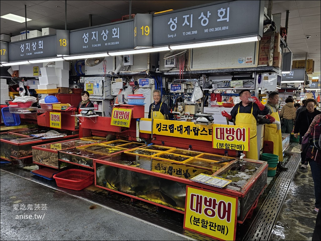 釜山吃帝王蟹、鮑魚！札嘎其市場生猛海鮮推薦