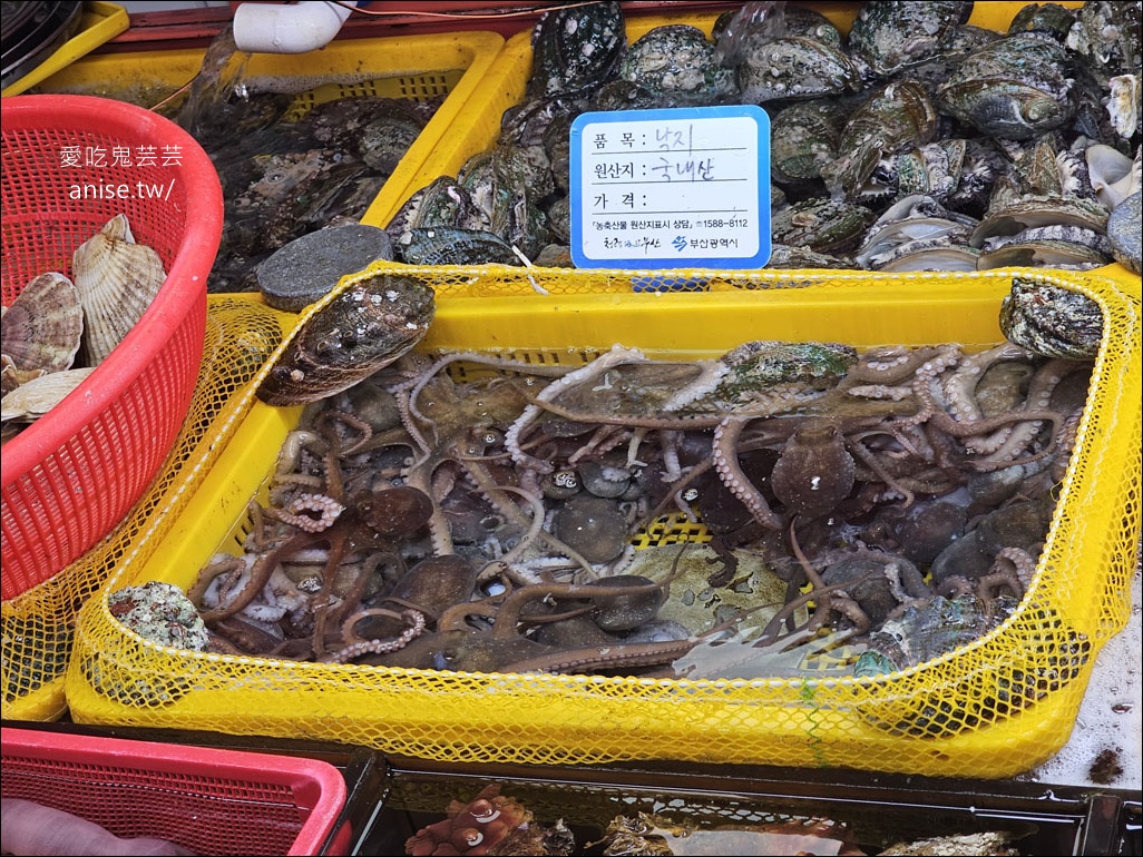 釜山吃帝王蟹、鮑魚！札嘎其市場生猛海鮮推薦