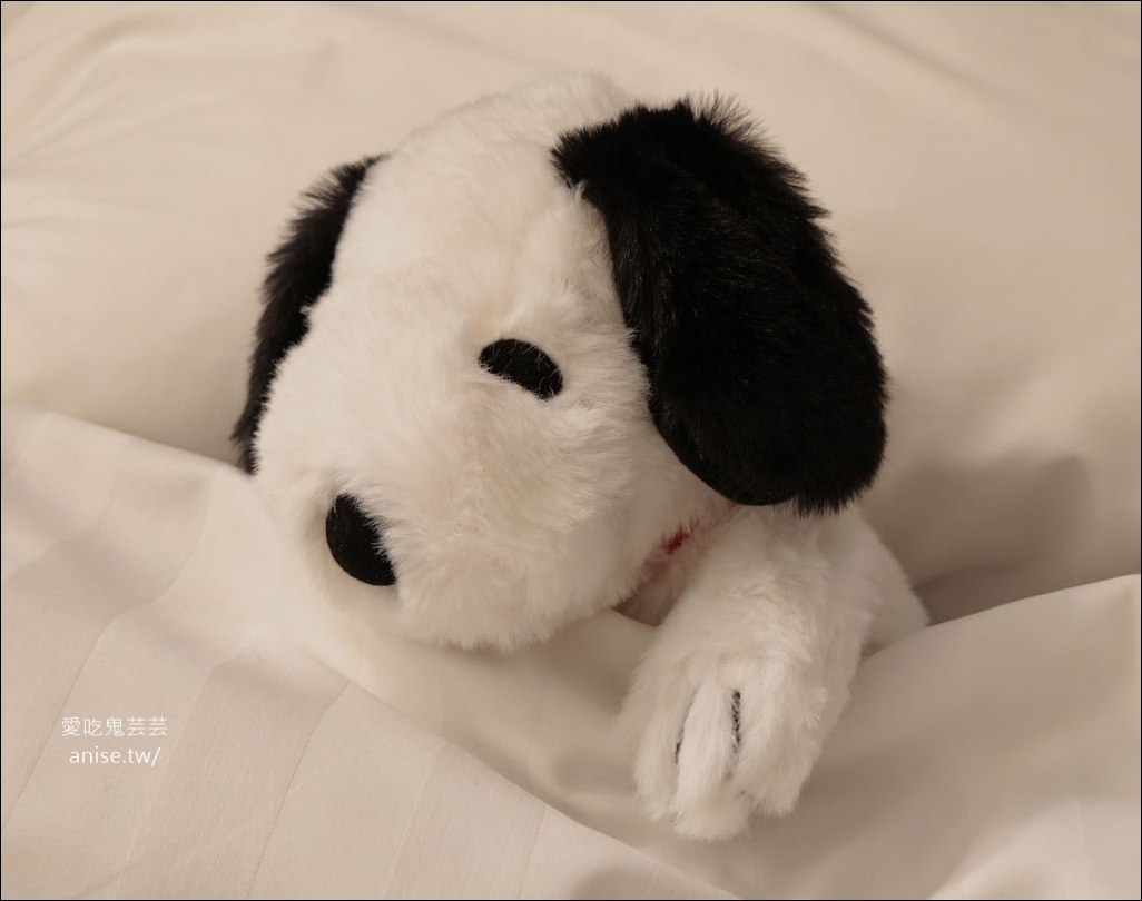 海雲台住宿 | 東橫inn,熟悉的平價商務旅店 海雲台住宿 | 東橫inn,熟悉的平價商務旅店