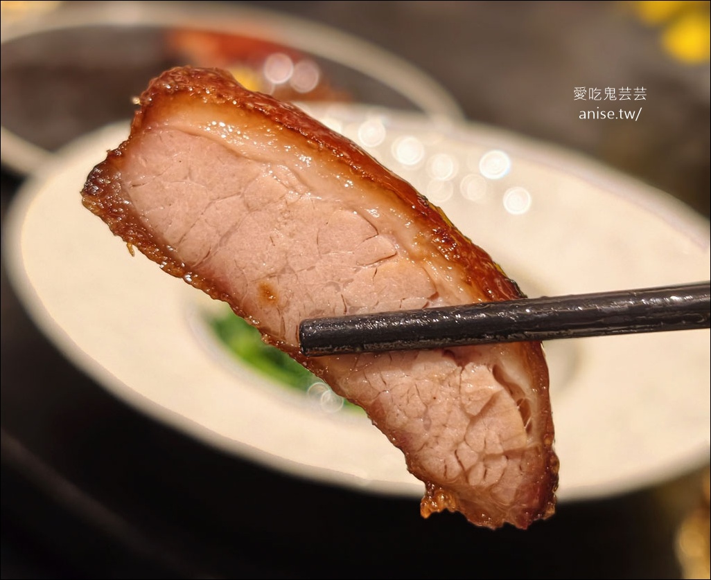 還得是辰園，黃金片皮鵝必點！