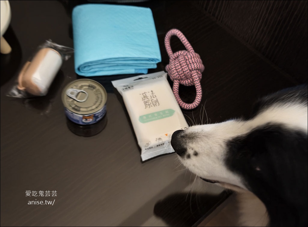 日月潭寵物友善住宿 | 力麗哲園飯店-月潭館