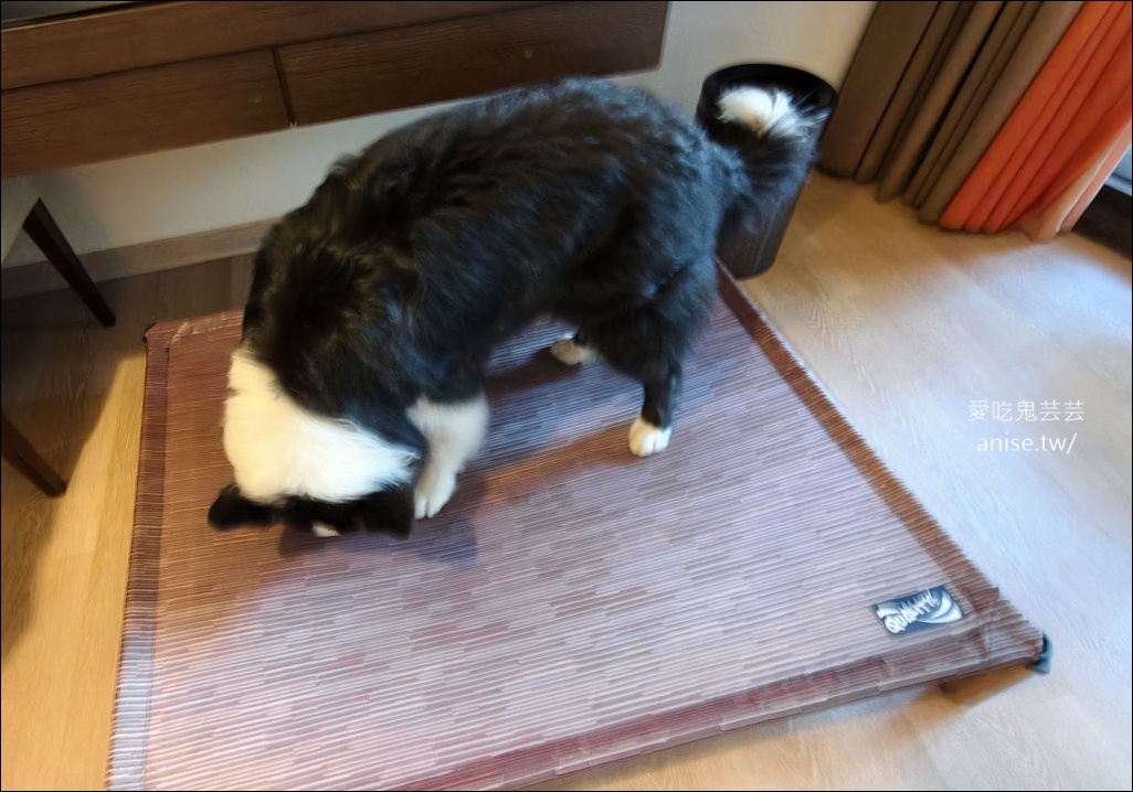 日月潭寵物友善住宿 | 力麗哲園飯店-月潭館