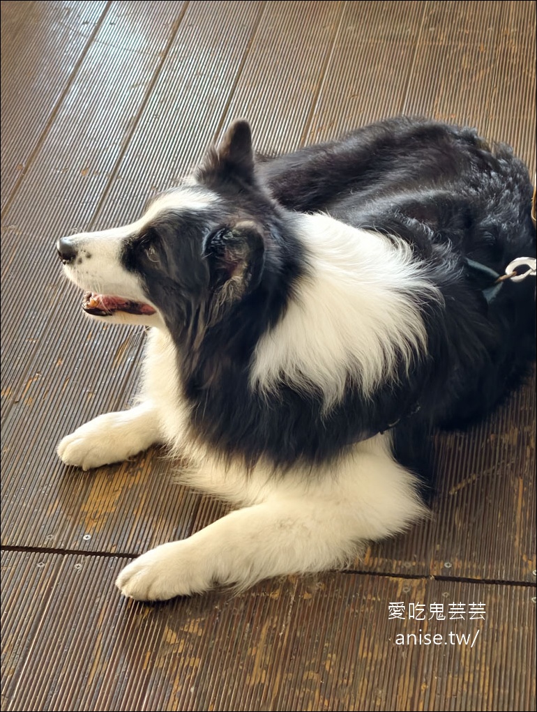 日月潭寵物友善住宿 | 力麗哲園飯店-月潭館