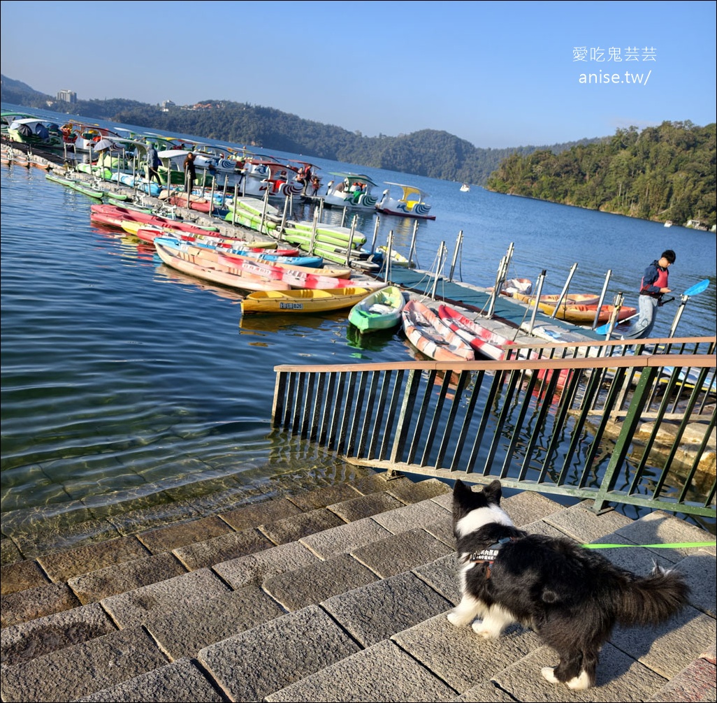 日月潭寵物友善住宿 | 力麗哲園飯店-月潭館