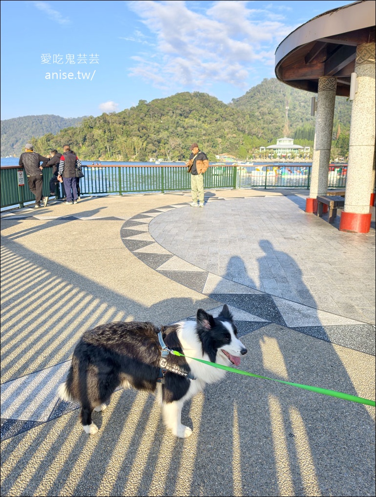 日月潭寵物友善住宿 | 力麗哲園飯店-月潭館