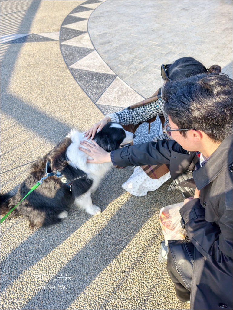 日月潭寵物友善住宿 | 力麗哲園飯店-月潭館