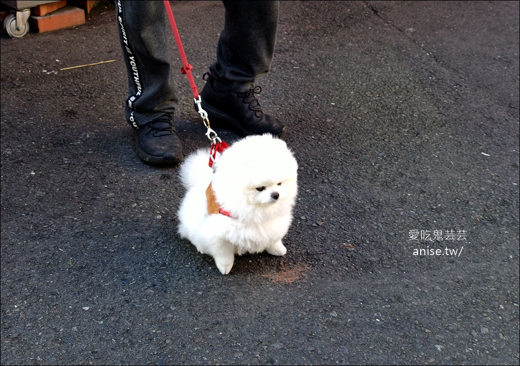 日月潭寵物友善住宿 | 力麗哲園飯店-月潭館