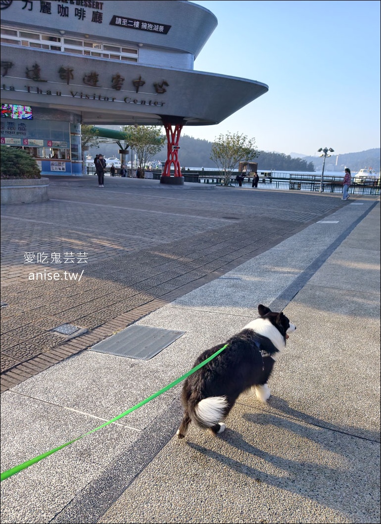 日月潭寵物友善住宿 | 力麗哲園飯店-月潭館
