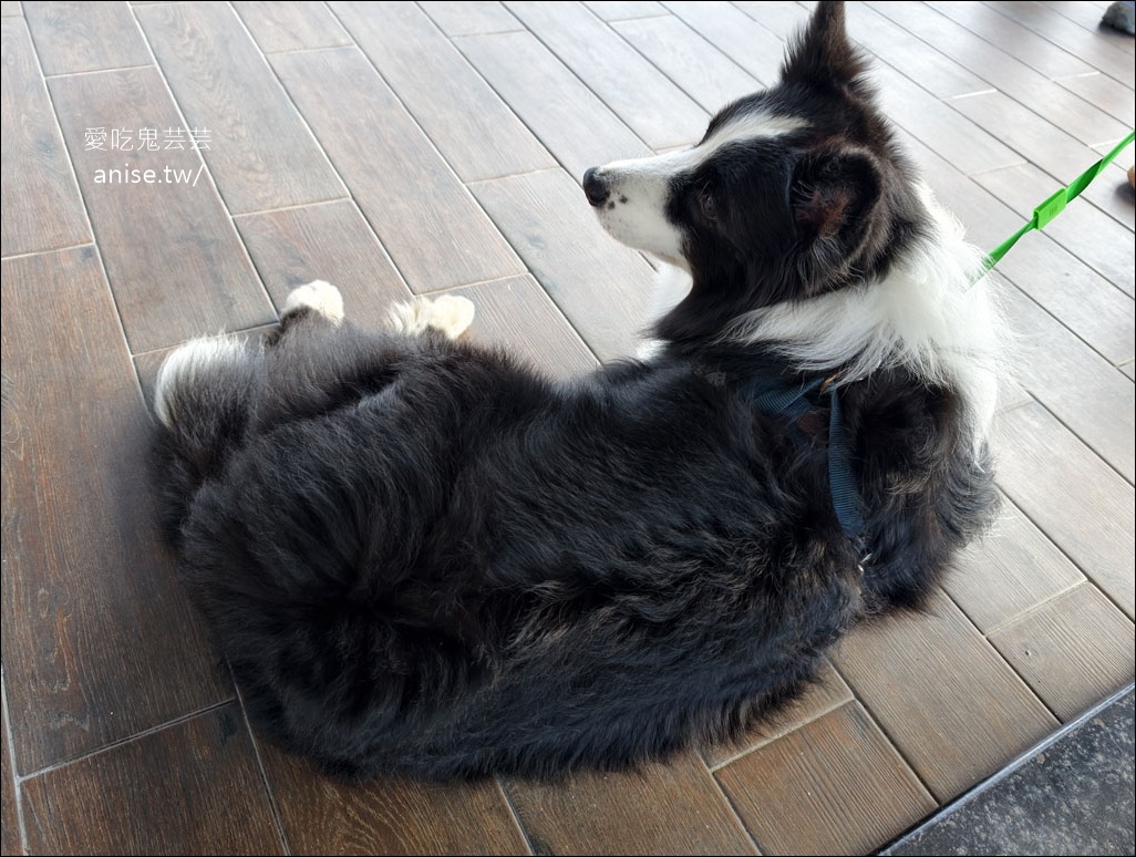 日月潭寵物友善住宿 | 力麗哲園飯店-月潭館