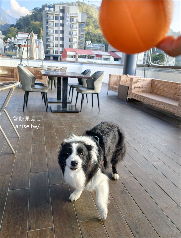 日月潭寵物友善住宿 | 力麗哲園飯店-月潭館