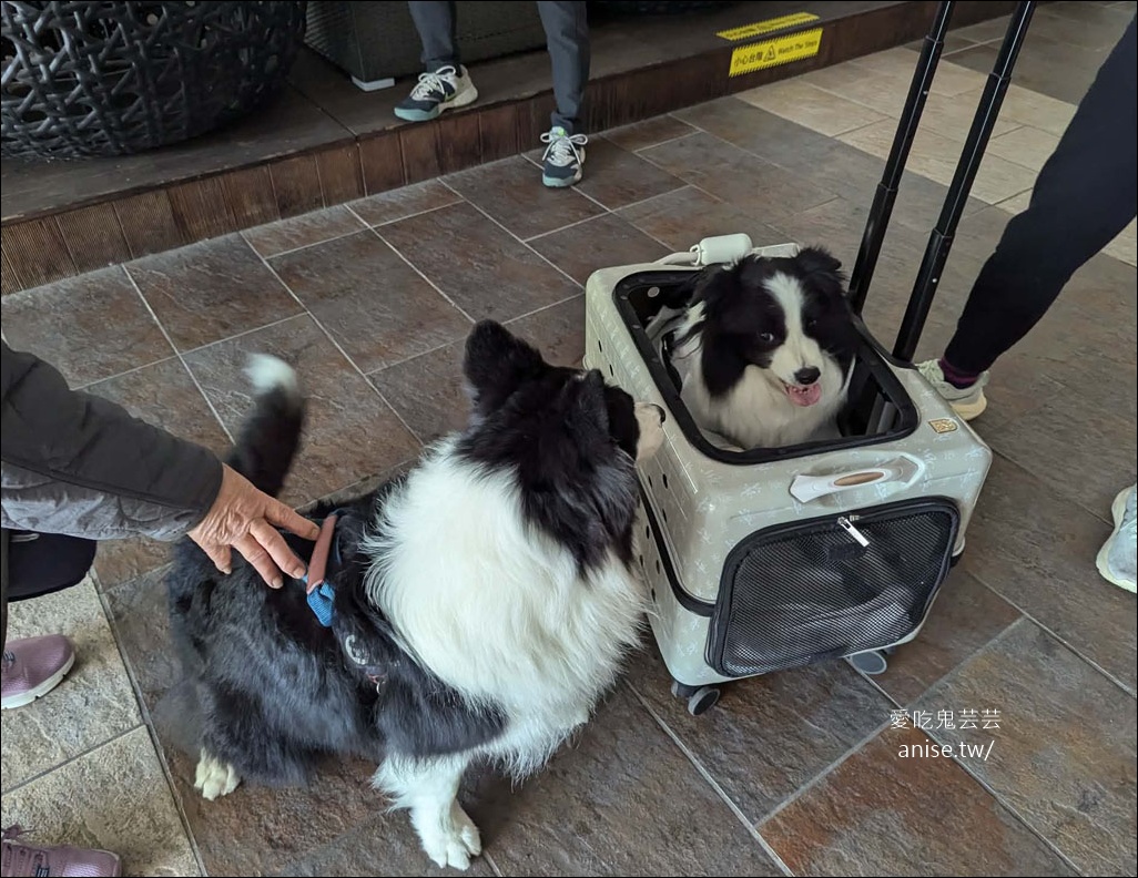 日月潭寵物友善住宿 | 力麗哲園飯店-月潭館