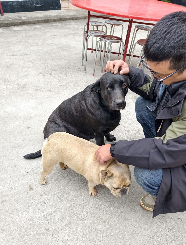 日月潭寵物友善 | 阿爸食堂，古早味台菜無菜單料理