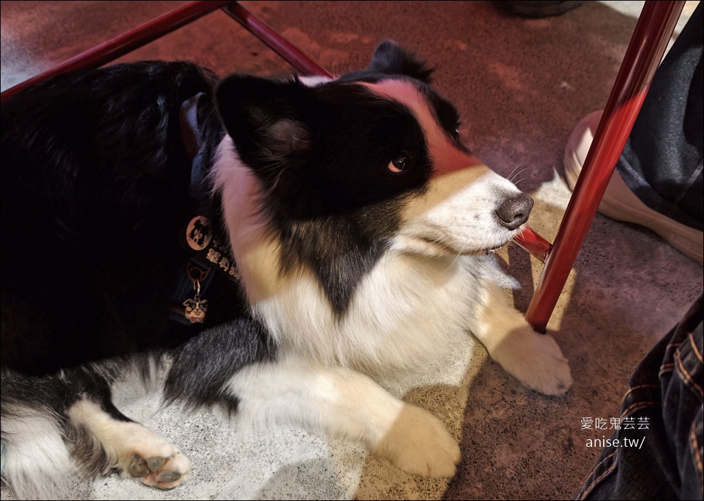 日月潭寵物友善 | 阿爸食堂，古早味台菜無菜單料理