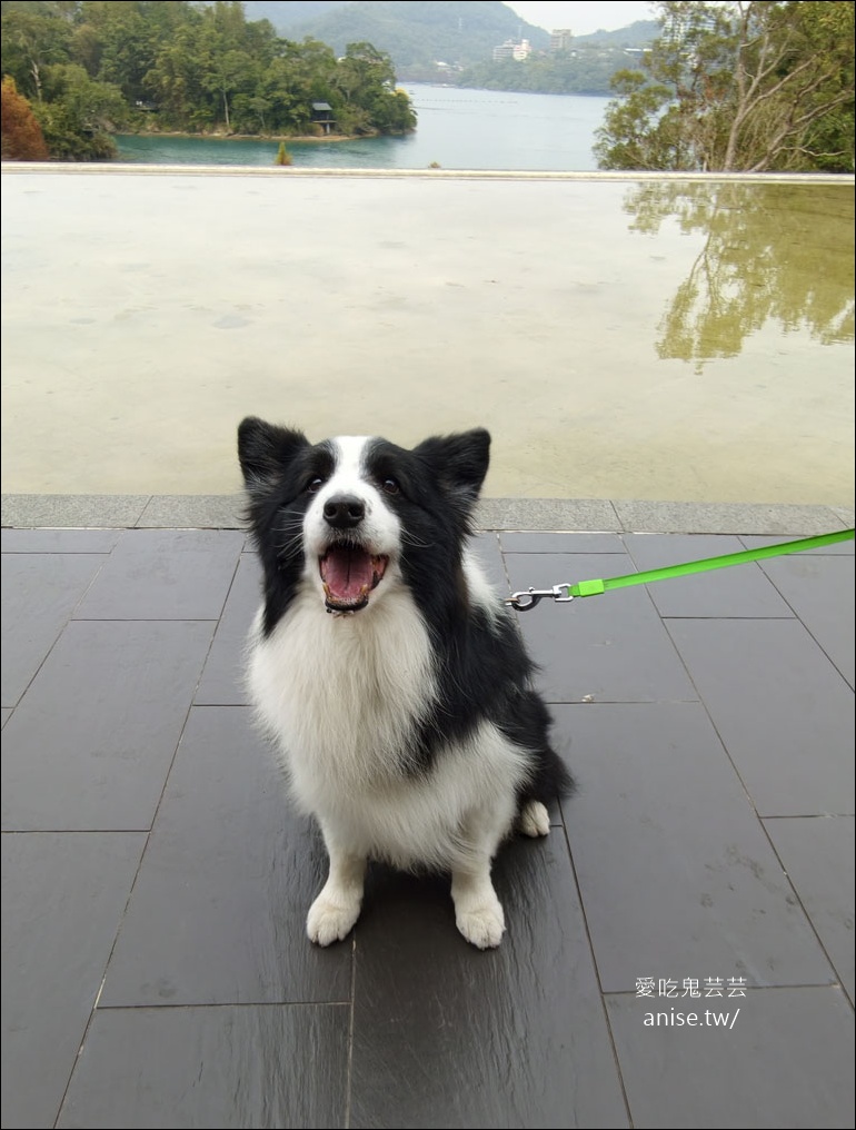 日月潭寵物友善 | 阿爸食堂，古早味台菜無菜單料理
