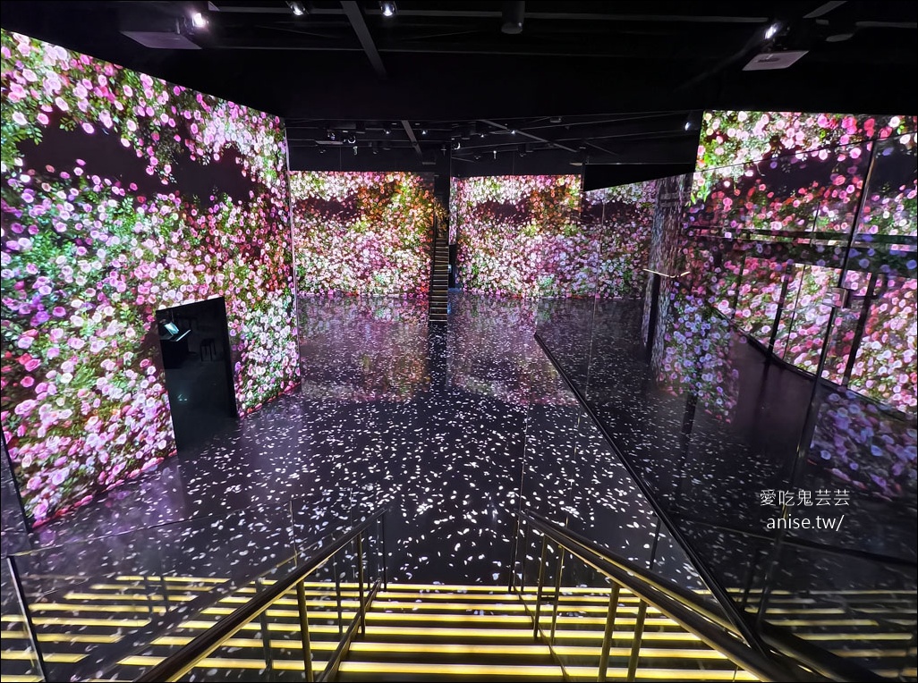 ARTE MUSEUM Busan (釜山藝術博物館)，令人著迷的沉浸式媒體藝術 (全球最大)