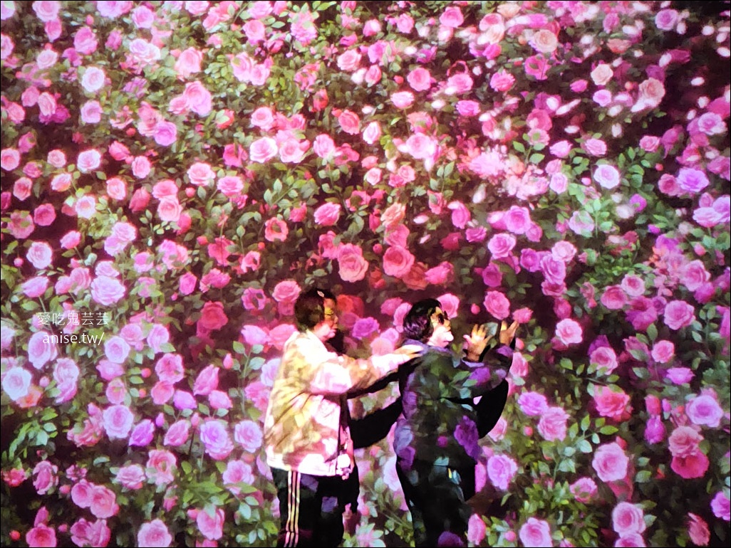 ARTE MUSEUM Busan (釜山藝術博物館)，令人著迷的沉浸式媒體藝術 (全球最大)