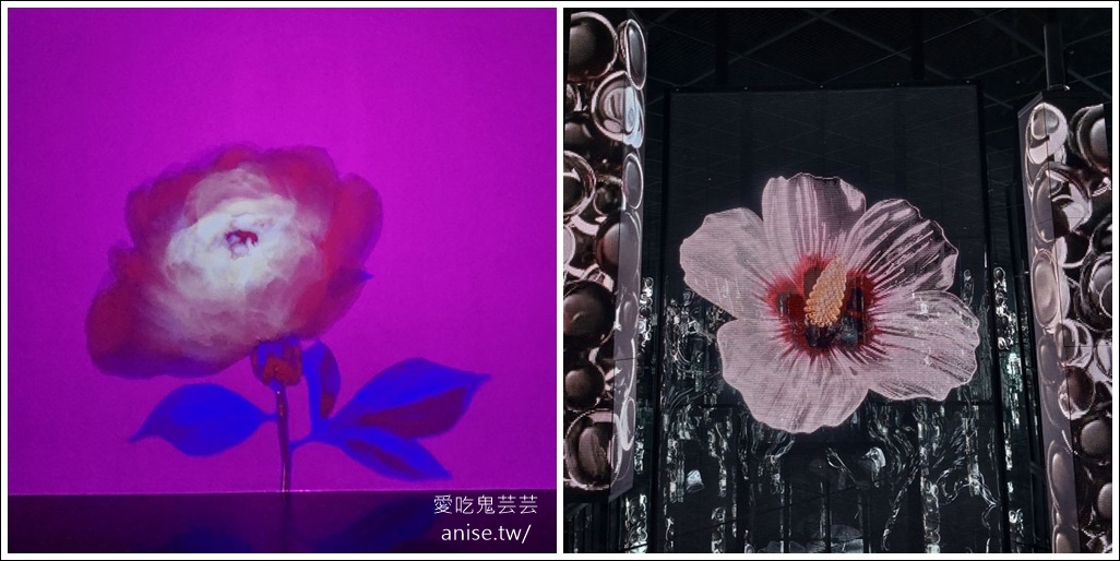 ARTE MUSEUM Busan (釜山藝術博物館)，令人著迷的沉浸式媒體藝術 (全球最大)