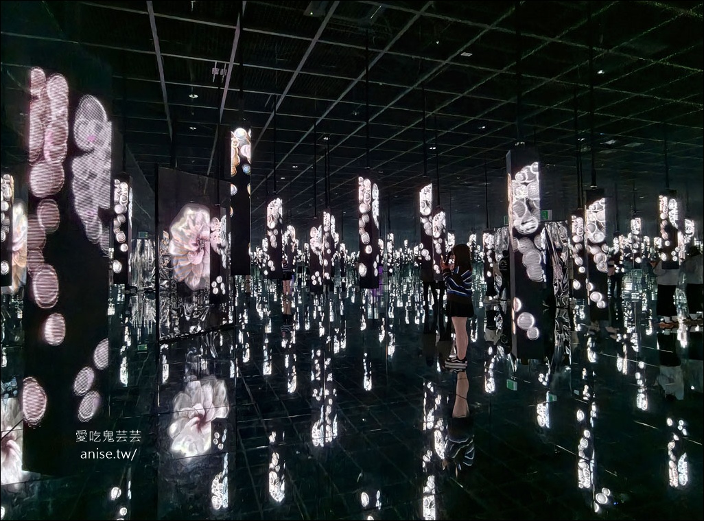 ARTE MUSEUM Busan (釜山藝術博物館)，令人著迷的沉浸式媒體藝術 (全球最大)