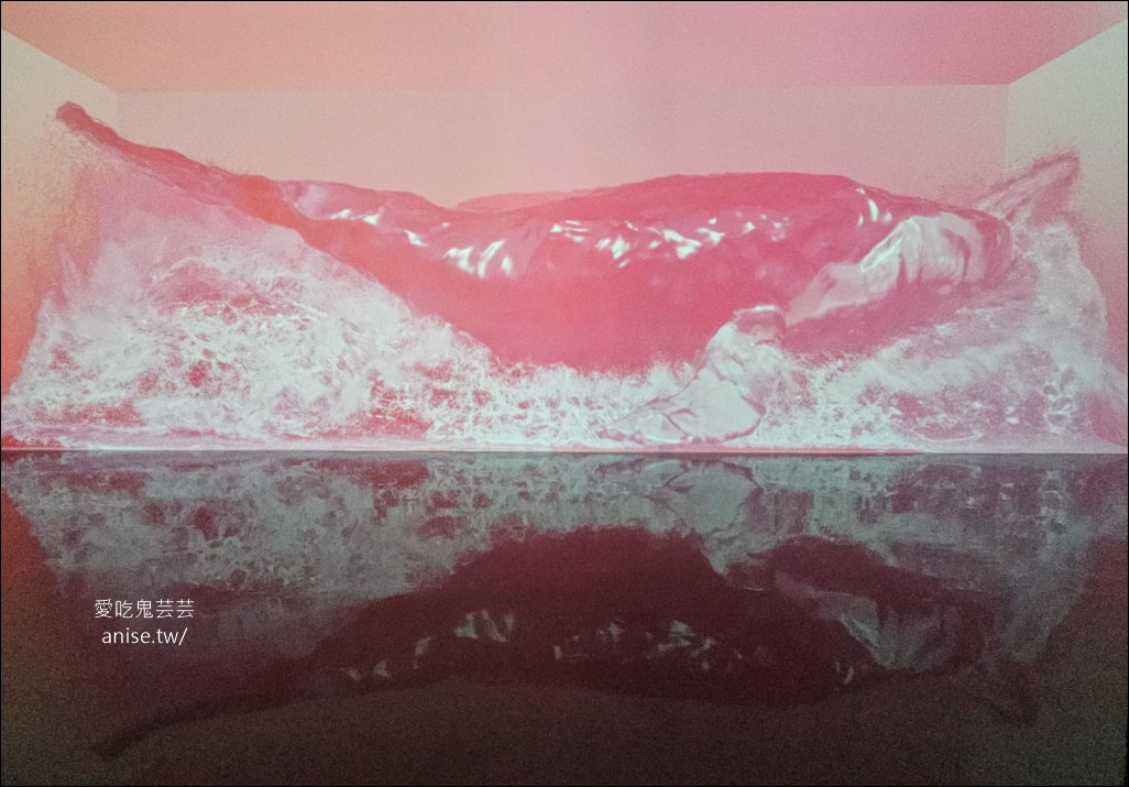 ARTE MUSEUM Busan (釜山藝術博物館)，令人著迷的沉浸式媒體藝術 (全球最大)