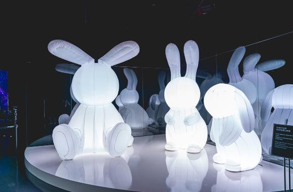 ARTE MUSEUM Busan (釜山藝術博物館)，令人著迷的沉浸式媒體藝術 (全球最大)