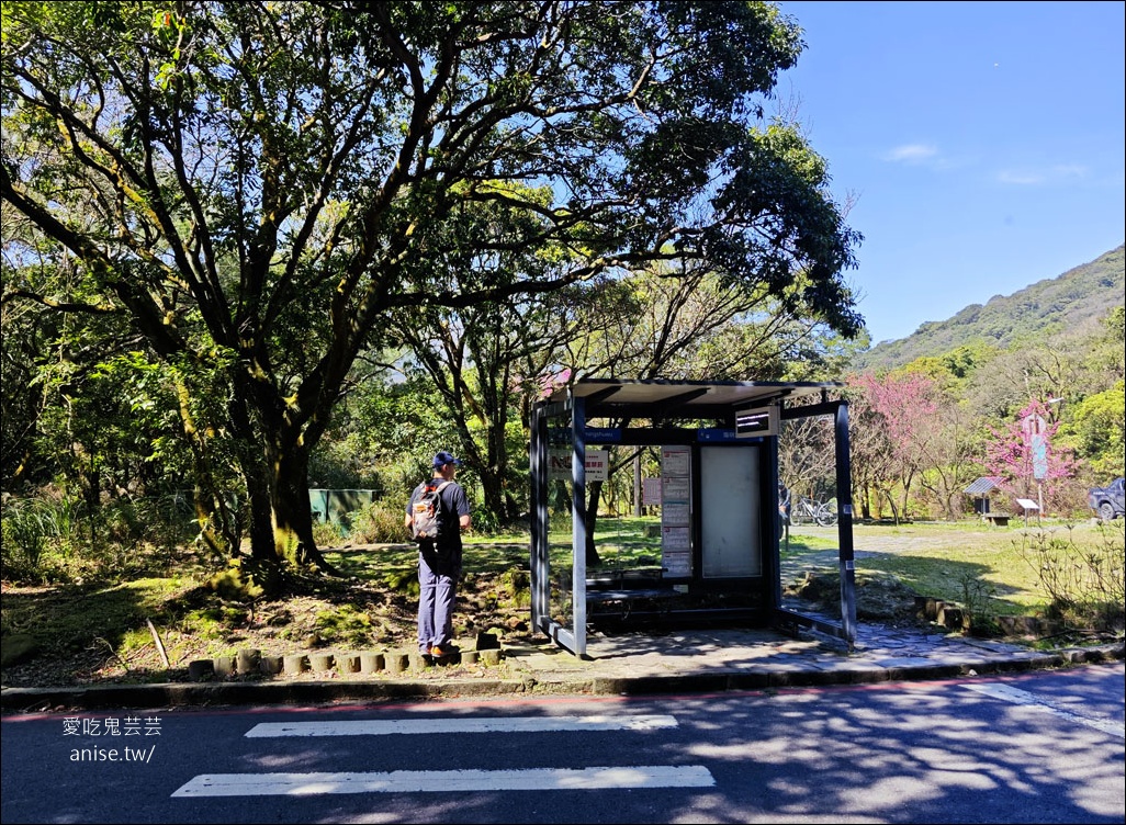 陽明山野溪溫泉 | 紫明溪溫泉露頭，泡泡腳好溫暖！