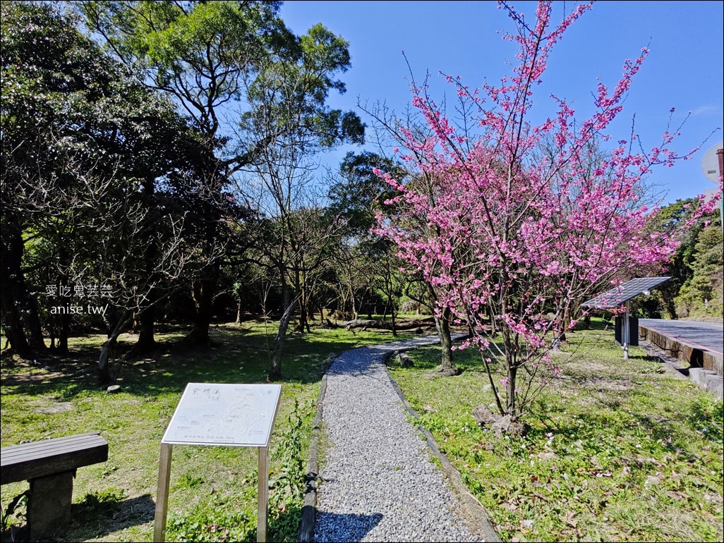 陽明山野溪溫泉 | 紫明溪溫泉露頭，泡泡腳好溫暖！