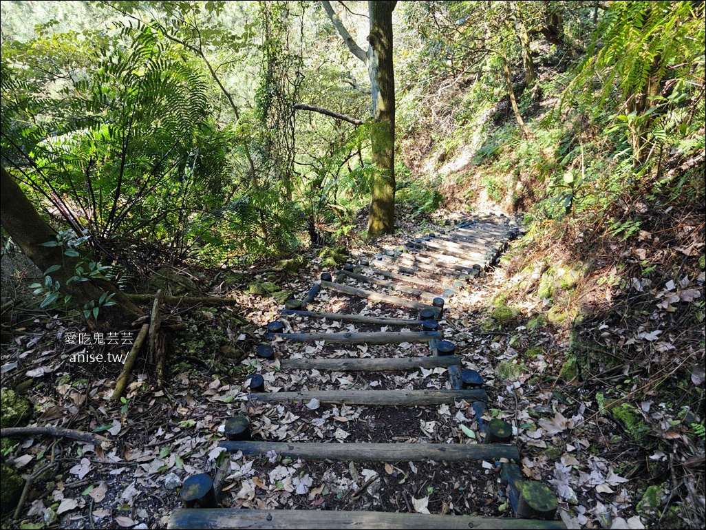 陽明山野溪溫泉 | 紫明溪溫泉露頭，泡泡腳好溫暖！