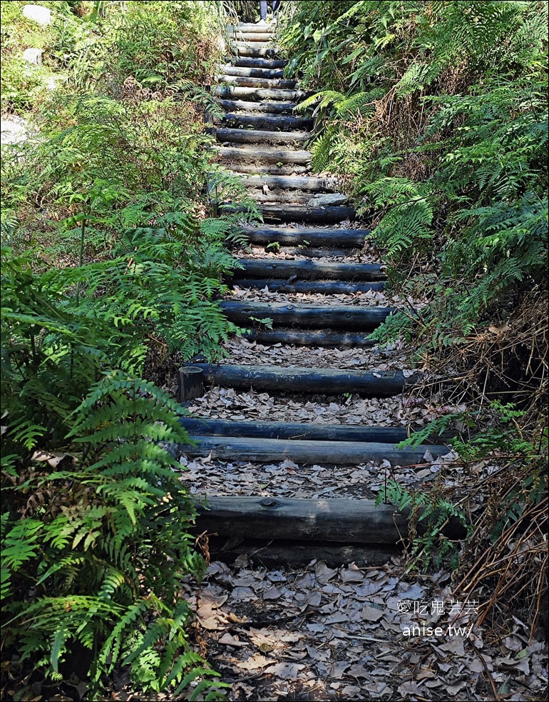 陽明山野溪溫泉 | 紫明溪溫泉露頭，泡泡腳好溫暖！