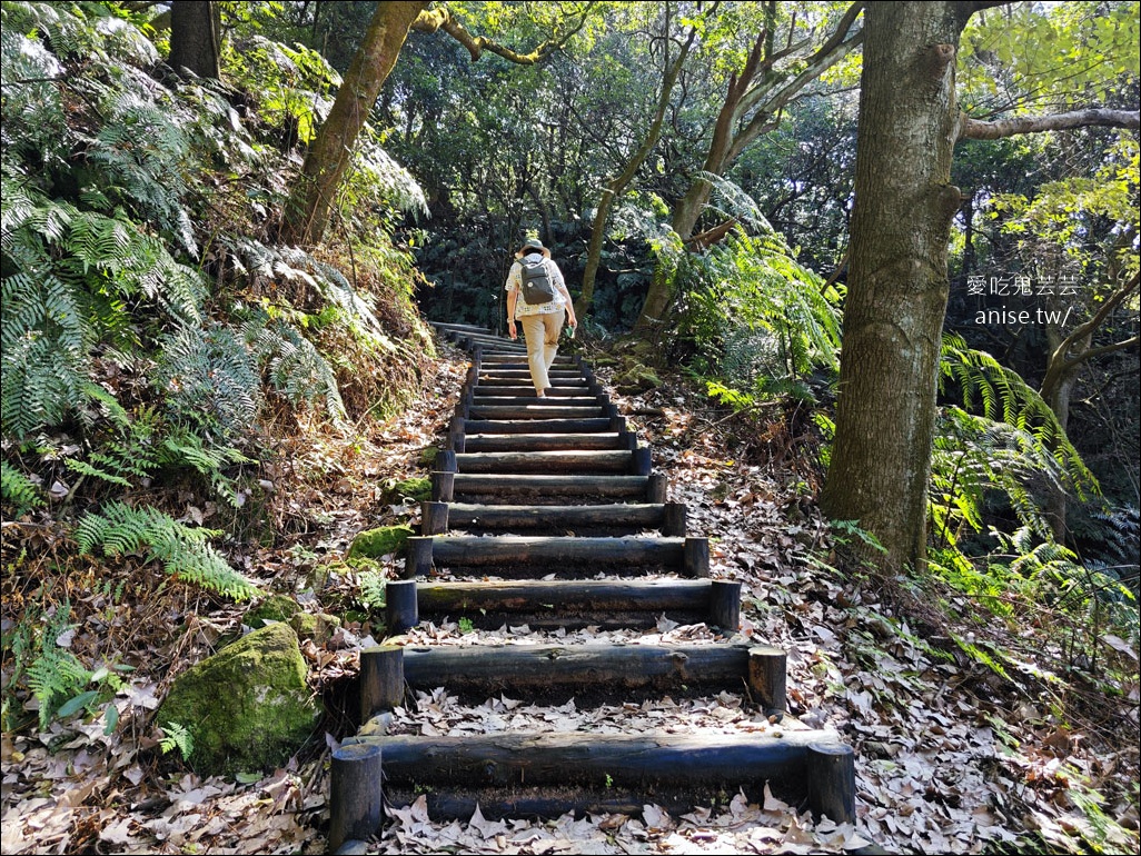 陽明山野溪溫泉 | 紫明溪溫泉露頭，泡泡腳好溫暖！