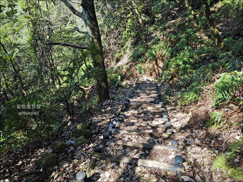 陽明山野溪溫泉 | 紫明溪溫泉露頭，泡泡腳好溫暖！