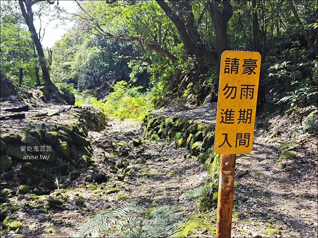 陽明山野溪溫泉 | 紫明溪溫泉露頭，泡泡腳好溫暖！