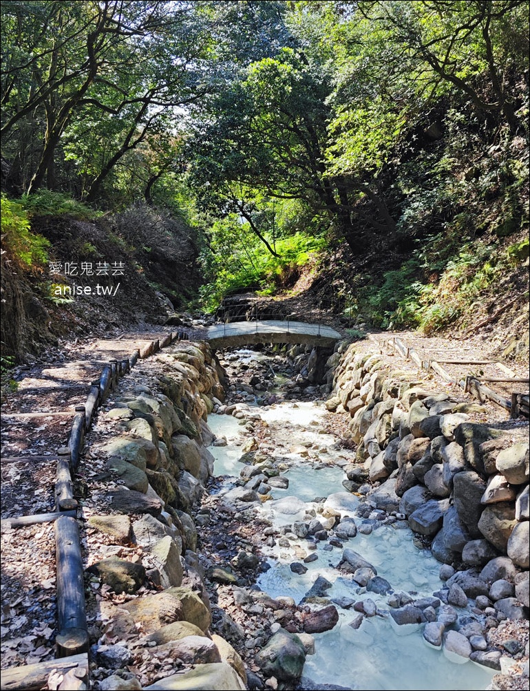 陽明山野溪溫泉 | 紫明溪溫泉露頭，泡泡腳好溫暖！