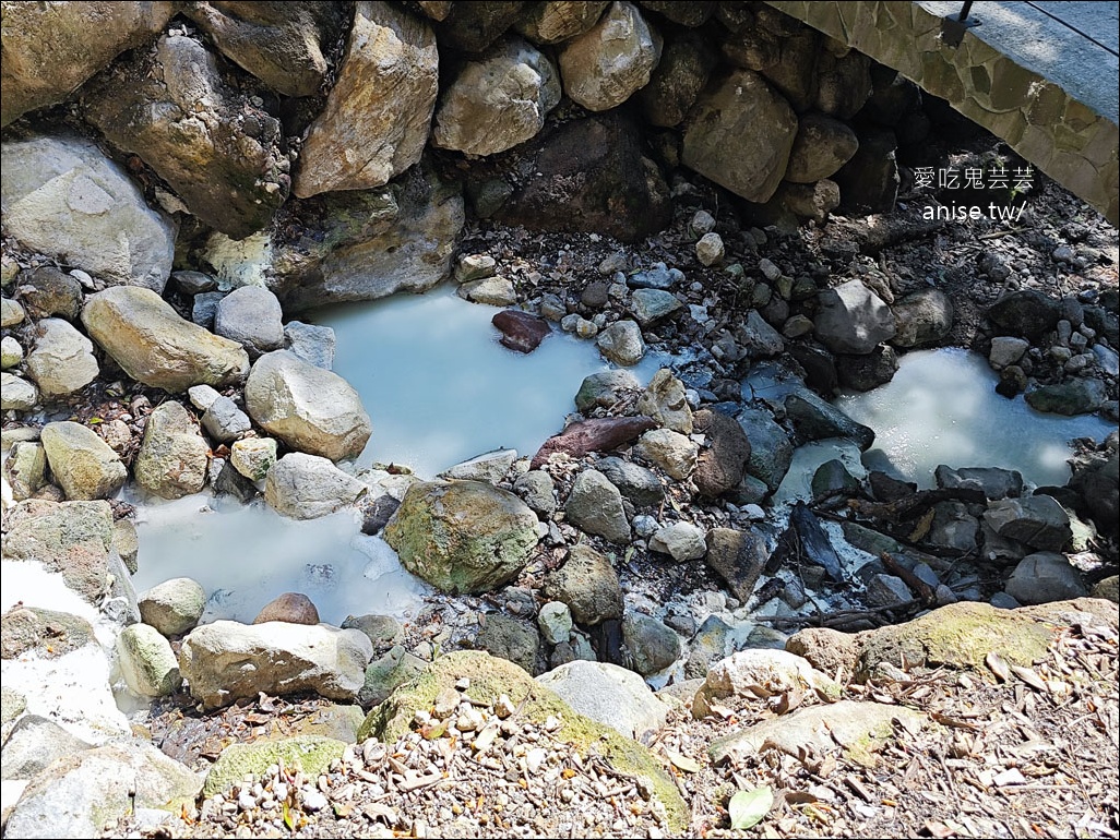 陽明山野溪溫泉 | 紫明溪溫泉露頭，泡泡腳好溫暖！