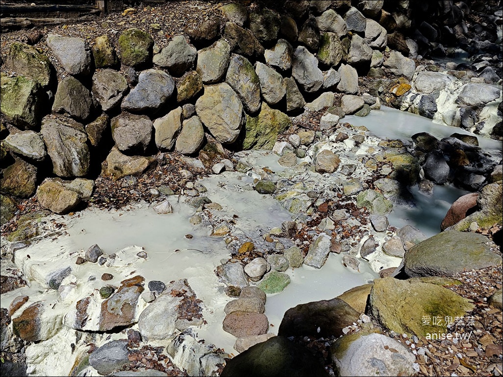 陽明山野溪溫泉 | 紫明溪溫泉露頭，泡泡腳好溫暖！
