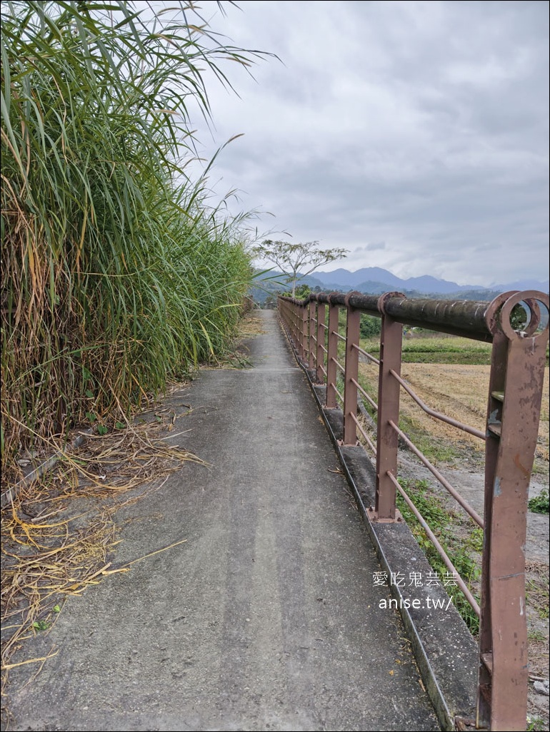 花蓮玉里 | 歐亞板塊及菲律賓海板塊交界紀念碑 (玉富自行車道)，一腳一個板塊超酷~